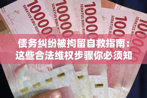 武汉债务纠纷被拘留自救指南：这些合法维权步骤你必须知道！