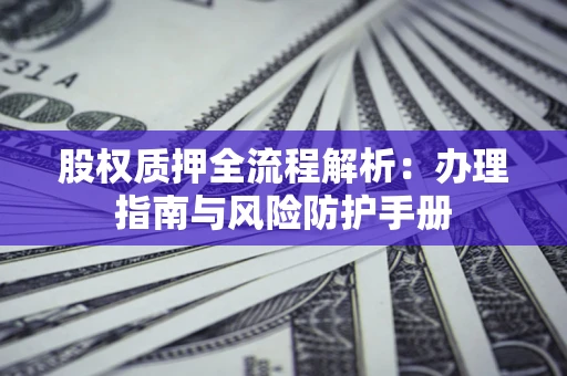 武汉股权质押全流程解析：办理指南与风险防护手册