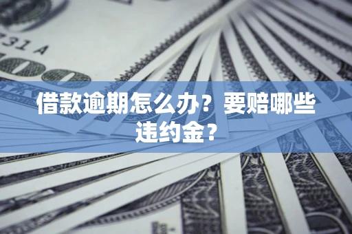 武汉借款逾期怎么办？要赔哪些违约金？